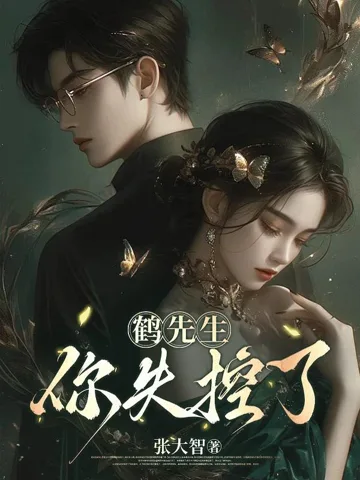 鹤先生,你失控了 Buchcover