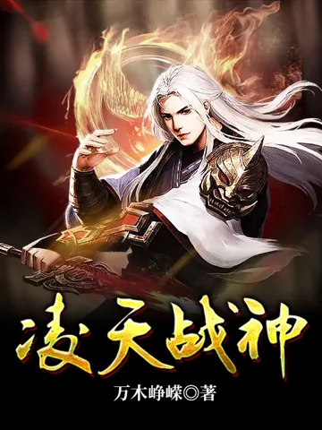 凌天战神 小说封面