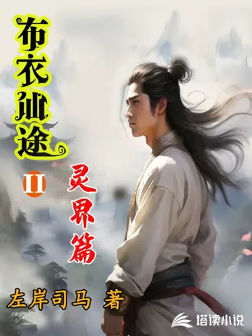 布衣仙途灵界篇 book cover