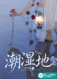 潮湿地 小说封面