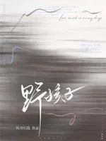 野孩子 book cover