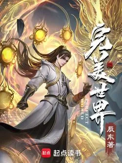 完美世界 Buchcover