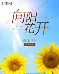向阳花开 Buchcover