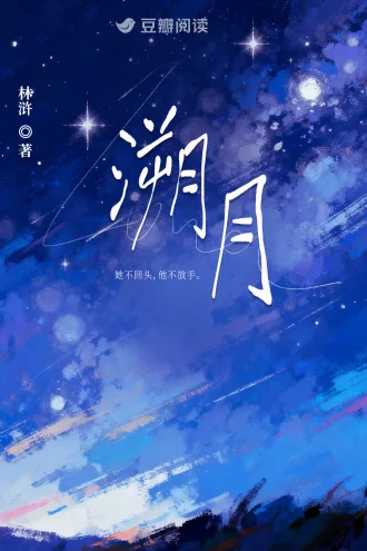 溯月 book cover