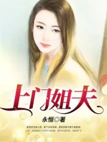 上门姐夫 Buchcover