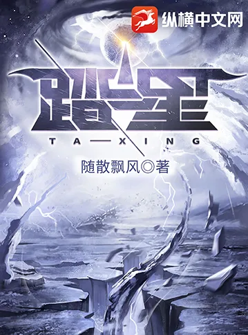 踏星 book cover