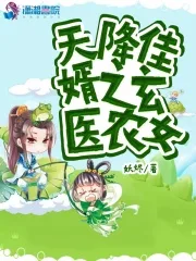 天降佳婿之玄医农女 book cover