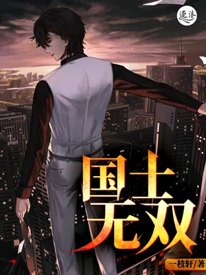 国士无双(又名都市君临天下) 小说封面