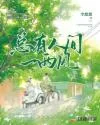 总有人间一两风 book cover