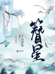簪星 小说封面