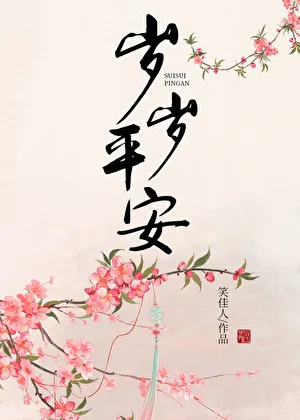 岁岁平安 book cover