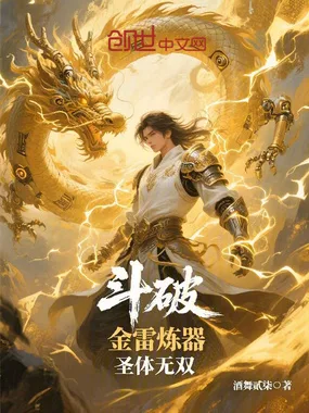斗破:金雷炼器,圣体无双 book cover