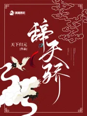 辞天骄 小说封面