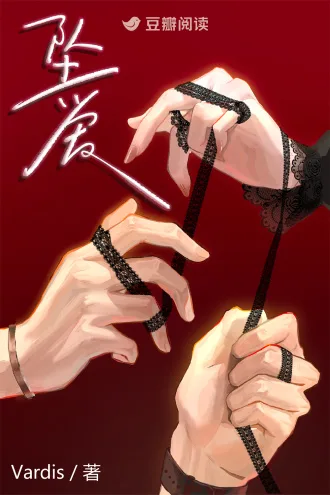 坠爱 Buchcover