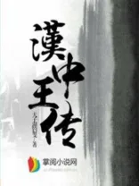 汉中王传 book cover