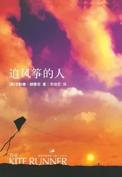 追风筝的人(珍藏纪念版) book cover