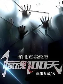 缅北真实经历,惊魂100天 小说封面