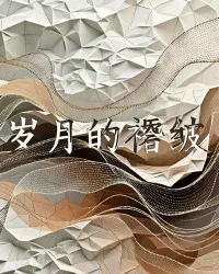 岁月的褶皱 book cover