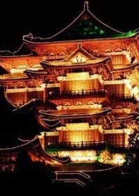 錸佱樓記 小说封面