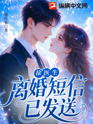 徐医生,离婚短信已发送 book cover