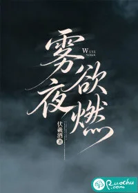 雾夜欲燃 Buchcover