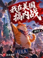 我在美国搞内战 book cover