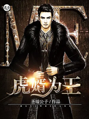 虎婿为王 book cover