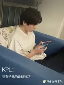 KPL:我有特殊的攻略技巧 小说封面
