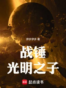 战锤:光明之子 book cover