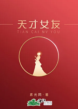 天才女友 book cover