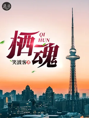 栖魂 book cover
