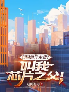 归国留洋水货?叫我芯片之父! book cover