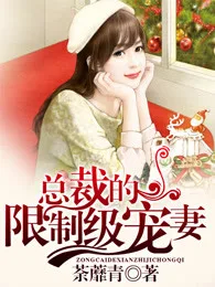 总裁的限制级宠妻 小说封面