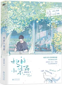 她的小梨涡 book cover
