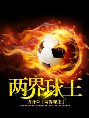 两界球王 小说封面