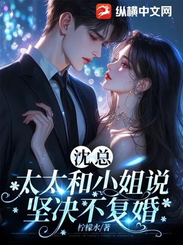 沈总,太太和小姐说坚决不复婚 小说封面