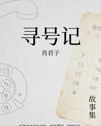 寻号记 book cover