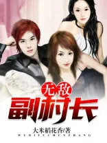 无敌副村长 book cover