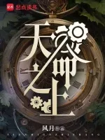 天命之上 Buchcover