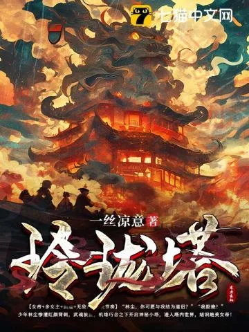 玲珑塔 Buchcover