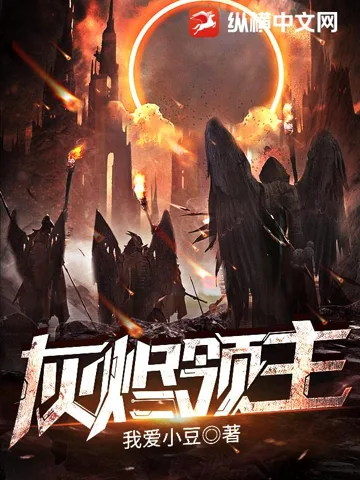 灰烬领主 Buchcover