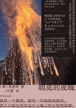明亮的夜晚 小说封面