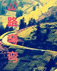 山路弯弯 book cover