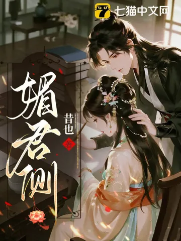 媚君侧 book cover
