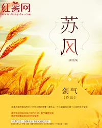 苏风 小说封面