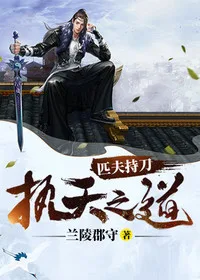 匹夫持刀,执天之道 book cover