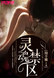 灵魂禁区 Buchcover