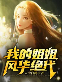我的姐姐风华绝代 小说封面