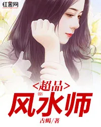 超品风水师 小说封面