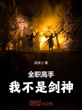 全职高手:我不是剑神 小说封面